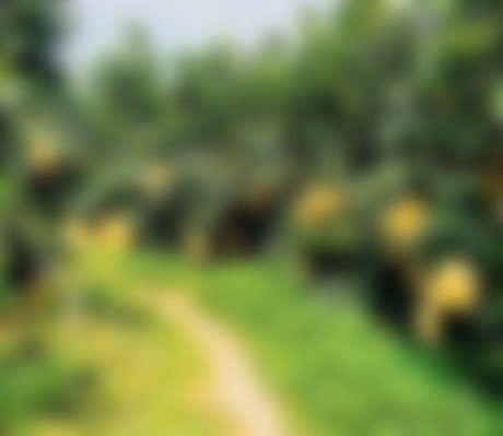 Login erforderlich