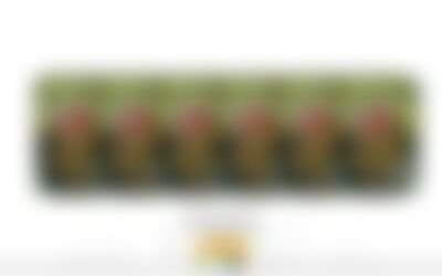 Login erforderlich