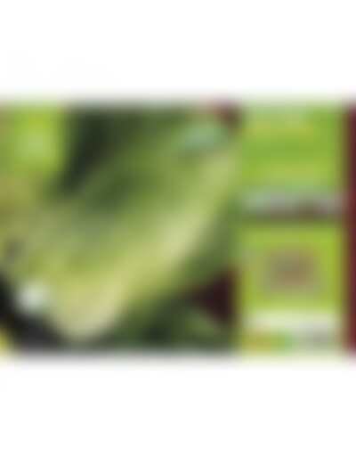 Login erforderlich
